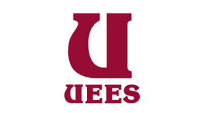 Ingeniero en Ciencias Empresariales